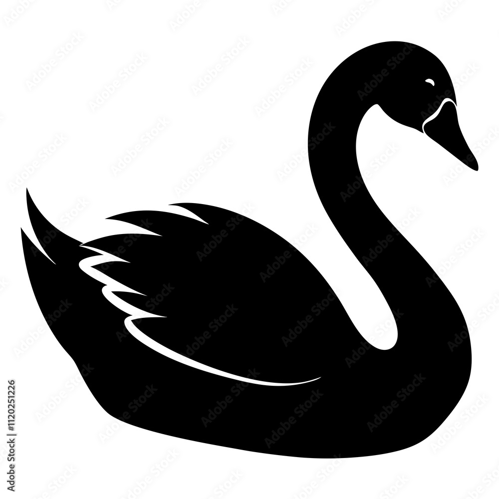 Obraz premium black swan on white background