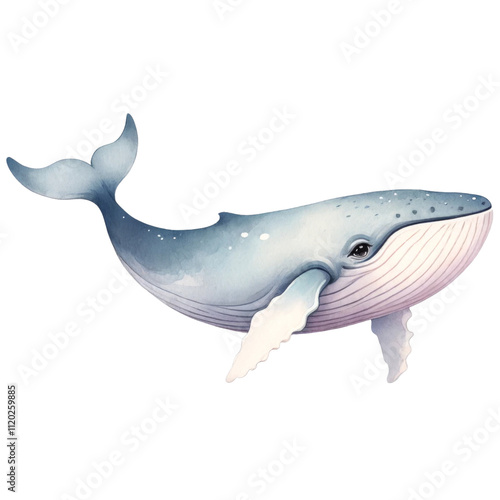 Watercolor Blue Whale Illustration in Soft Tones. photo