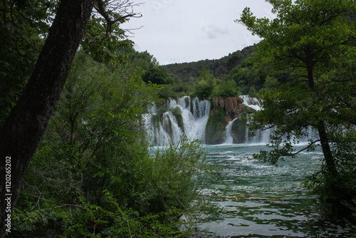 waterfall in the forest