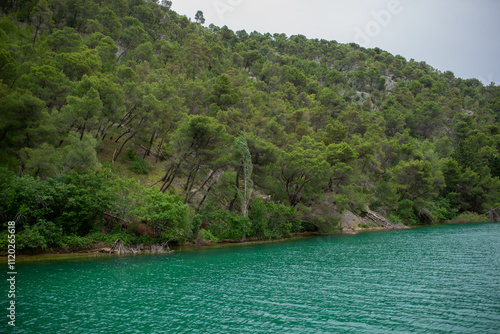 tropical island and river