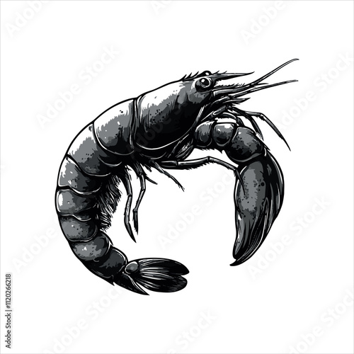 lobster on white background