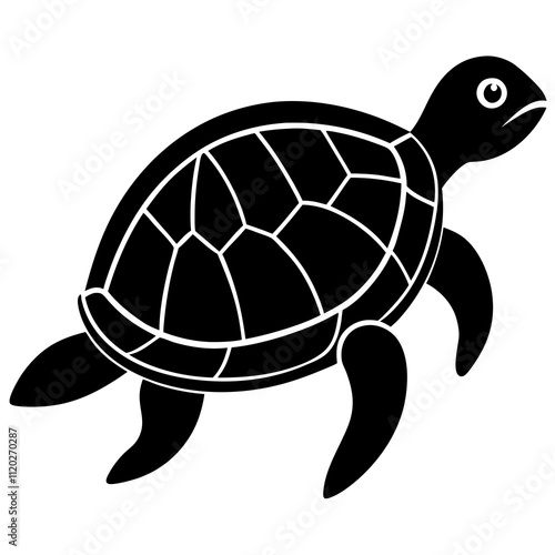 turtle illustration