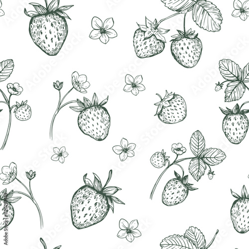 Strawberries, seamless pattern,  realistic sketches, vector illustrations, hand drawn, black outline on a transparent background