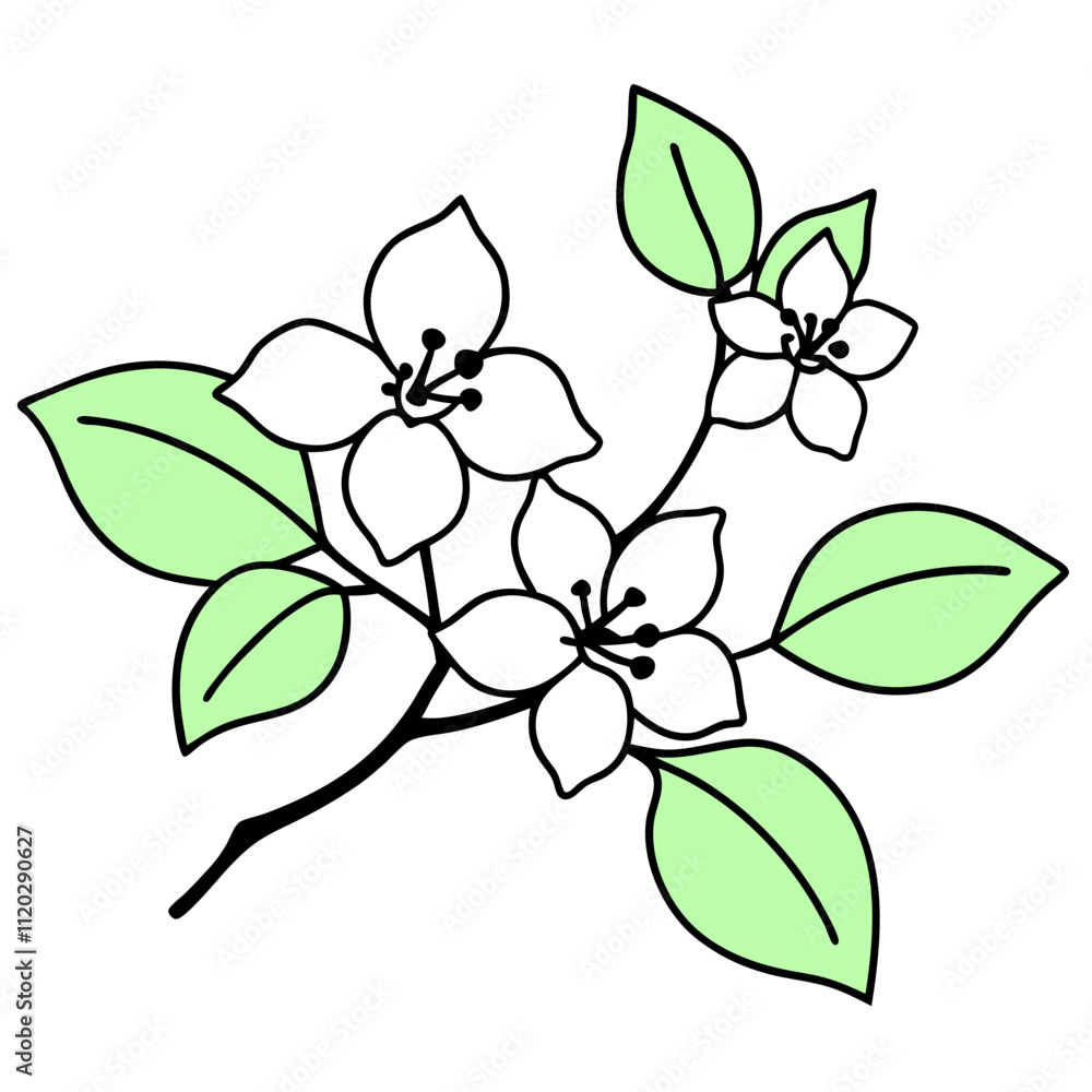 branch of a tree branch of a tree