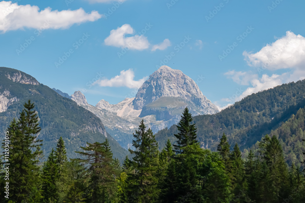 Obraz premium Scenic view of majestic mountain peak Mangart surrounded by coniferous forest in remote Julian Alps, Friuli Venezia Giulia, Italy. Wanderlust on Predil Pass in Tarvisio, Italy. Alpine wilderness