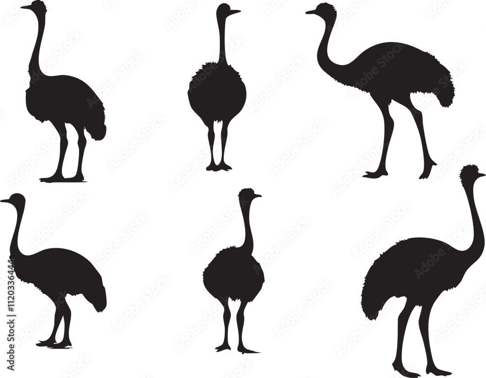 Fototapeta premium Creative Ostrich Vector Designs for Branding Projects 