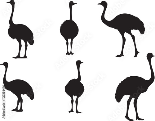 Creative Ostrich Vector Designs for Branding Projects
 photo