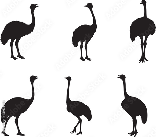 Elegant Ostrich Head Silhouettes for Wildlife Art
 photo