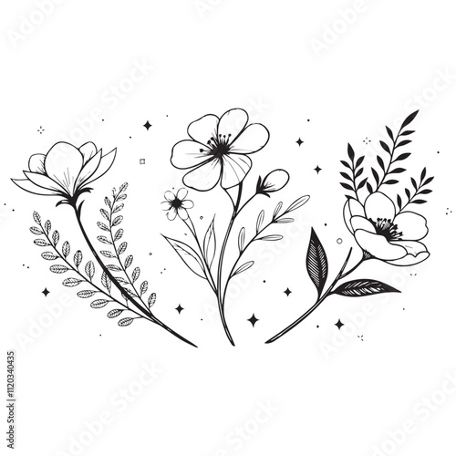 Minimal botanical graphic sketch drawing