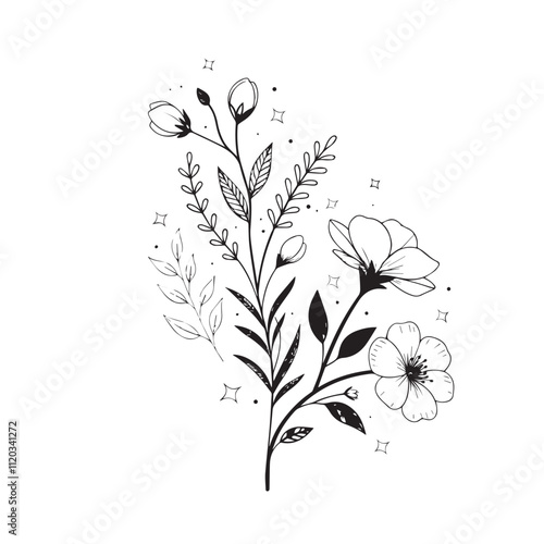 Minimal botanical graphic sketch drawing