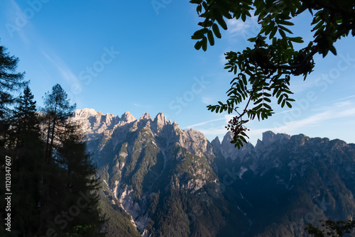 Silhouette of tree branches framing scenic view of majestic mountain peak Cima alta di Riobianco in Julian Alps seen from Predil Pass, Tarvisio, Italy. Ridges top illuminated in sunrise light. Hiking photo