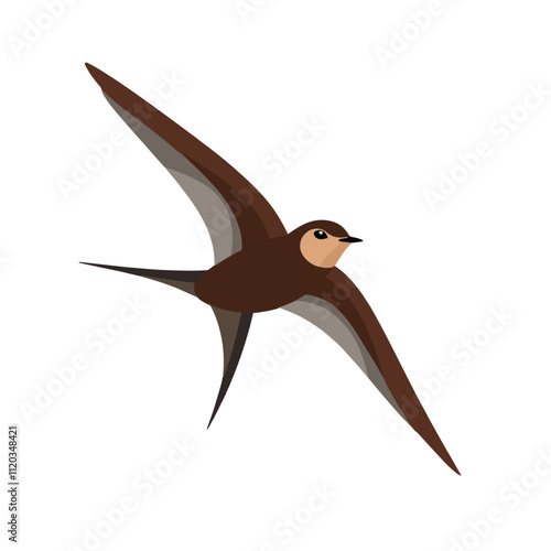 Flat vector illustration of a stylized common swift with brown body, sleek wings, and minimalistic design, plain white background