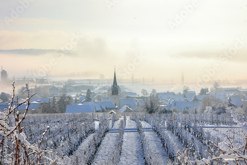 Misty winter landscape over a village and snow-covered vinyards - with copy space on the top