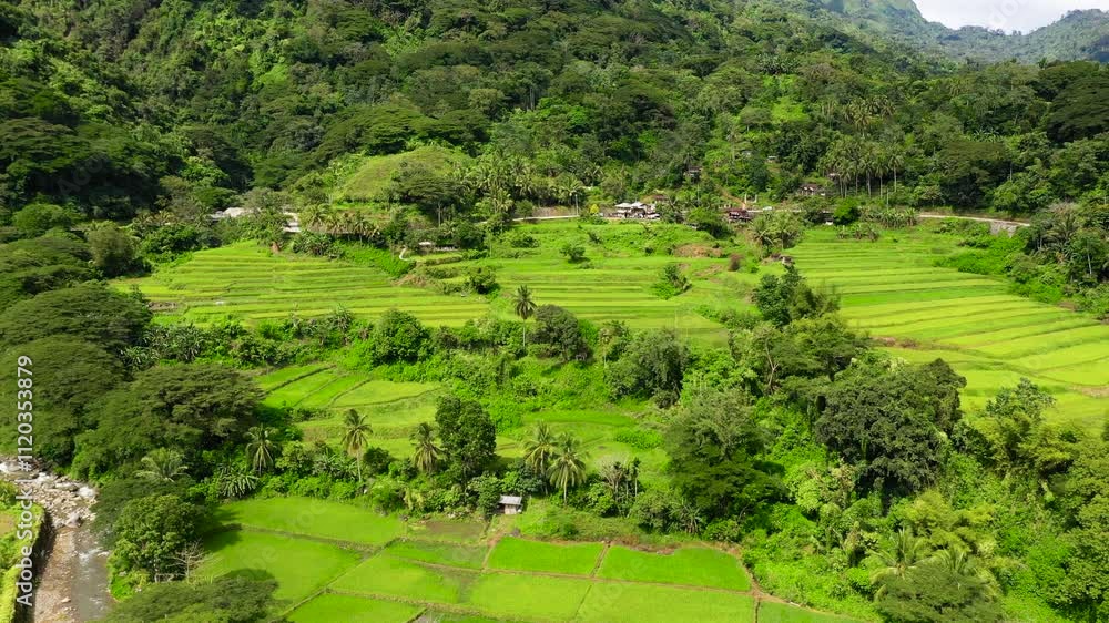 Bright landscape with rice terraces, view from above. Rice terraces in the Philippines. The village is in a valley among the rice terraces. Rice cultivation in the North of the Philippines, Bright landscape with rice terraces, view from above. Rice terraces in the Philippines. The village is in a valley among the rice terraces. Rice cultivation in the North of the Philippines,