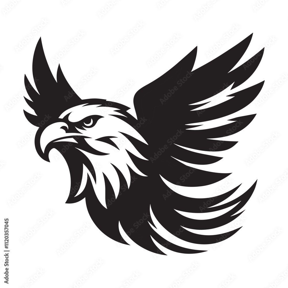 Obraz premium eagle with wings