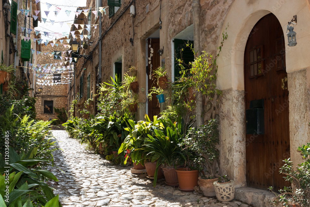 Fototapeta premium Schöne Gasse mit Pflasterstein und Blumentöüpfen im mallorquinischen Bergsorf Valdemossa.
