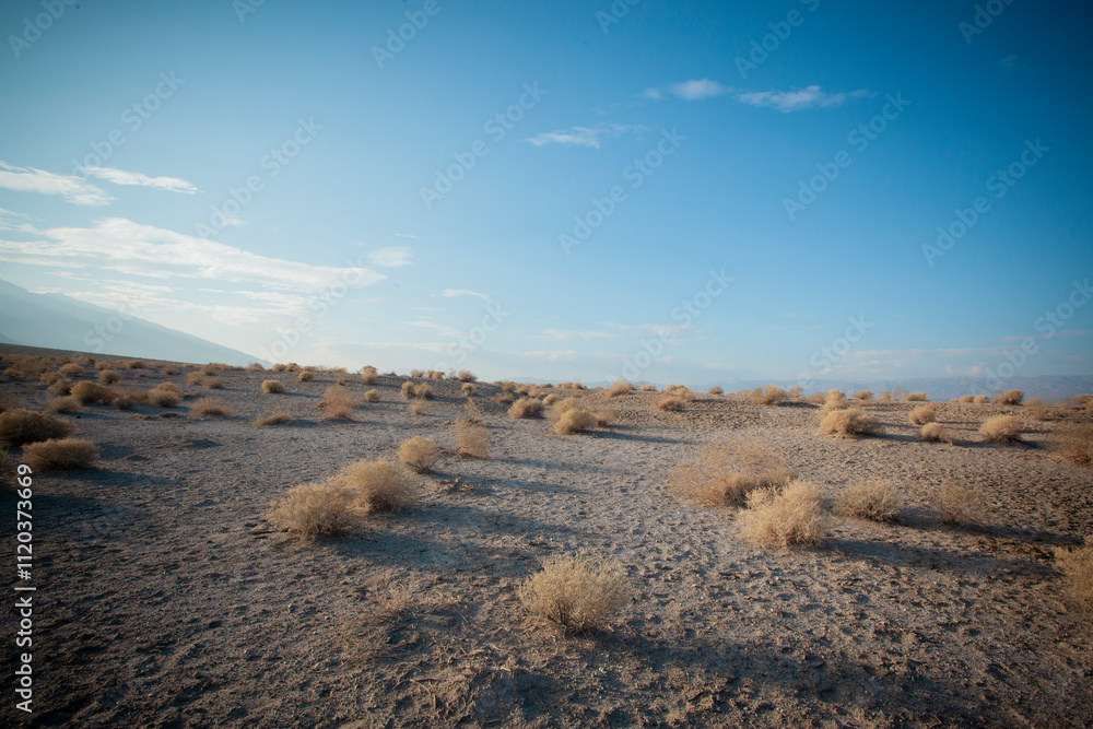 desert landscape