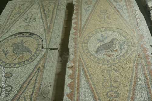 Floor mosaics from Byzantine times VI AD. They depicting walking birds, geometric ornaments and stylized fruits. Authors are unknown