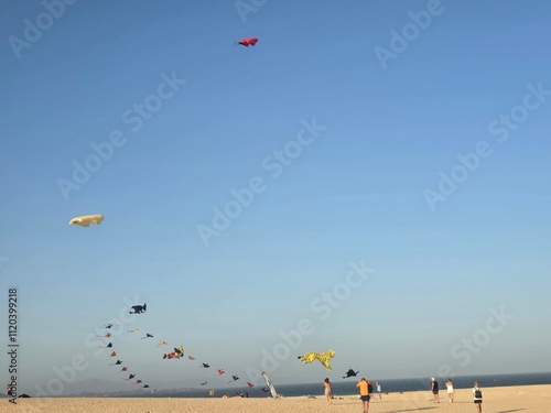 kite on the beach