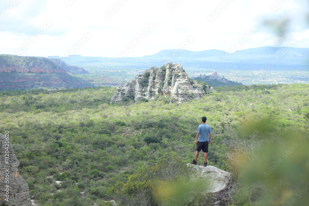 Fototapeta premium formações rochosas no vale do catimbau, pernambuco