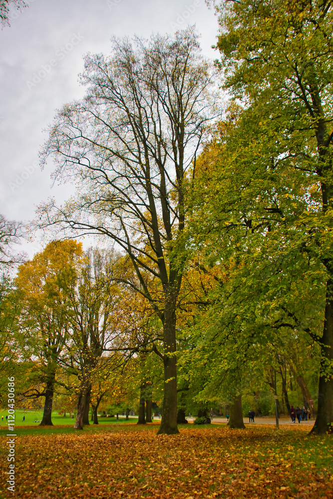 Fototapeta premium Colorful landscape: autumn trees in the park