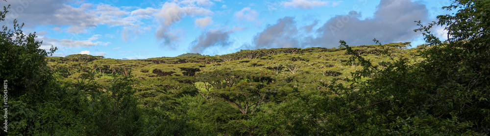 Marvelous horizont view from Tanzania national park. Marvelous horizont view from Tanzania national park.