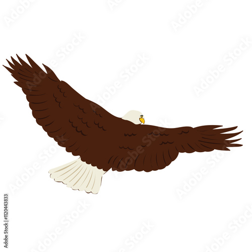 eagle back view on white background , vector