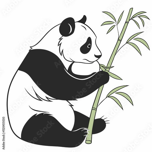 Panda vector silhouette,isolated white background photo