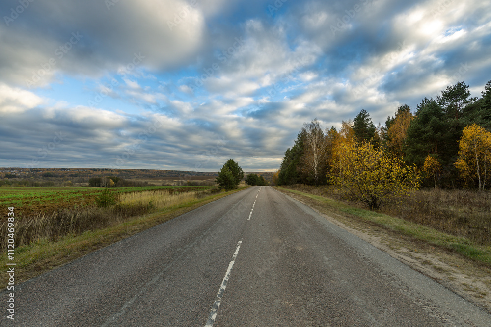 A road with trees in the background and a cloudy sky A road with trees in the background and a cloudy sky