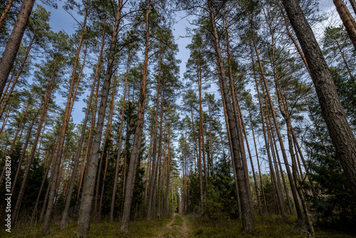 Wandern in Podlachien, Ostpolen photo