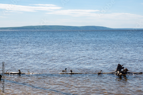 landscape with mountain and river views on a sunny summer day