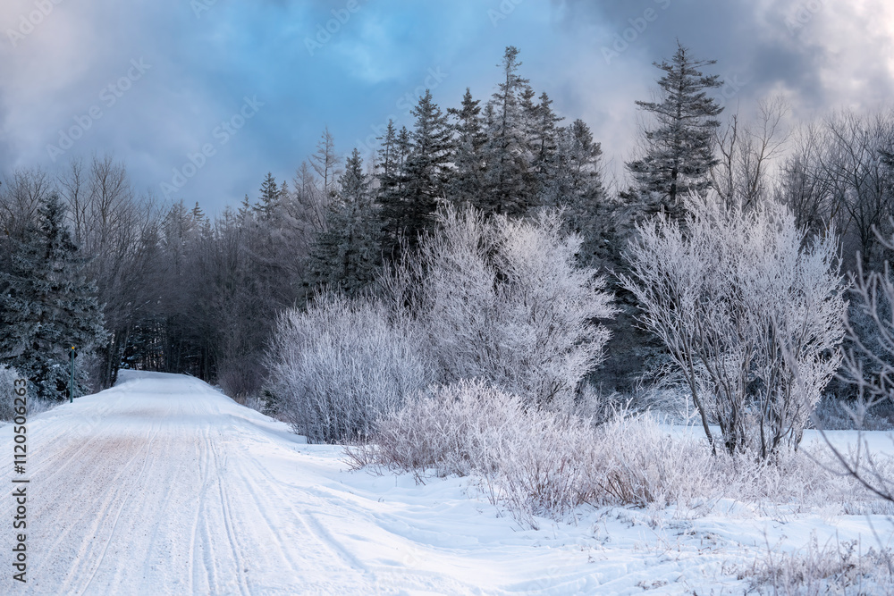 Obraz premium Snow covered snowmobile trail in rural Prince Edward Island.