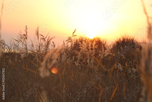 Image of people enjoying a beautiful sunset at Dadaepo Beach in Busan and a landscape image of sunset at sea
 photo