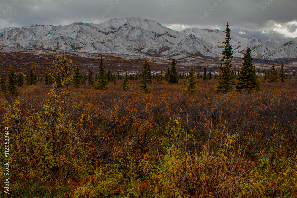 Fototapeta premium autumn in the mountains