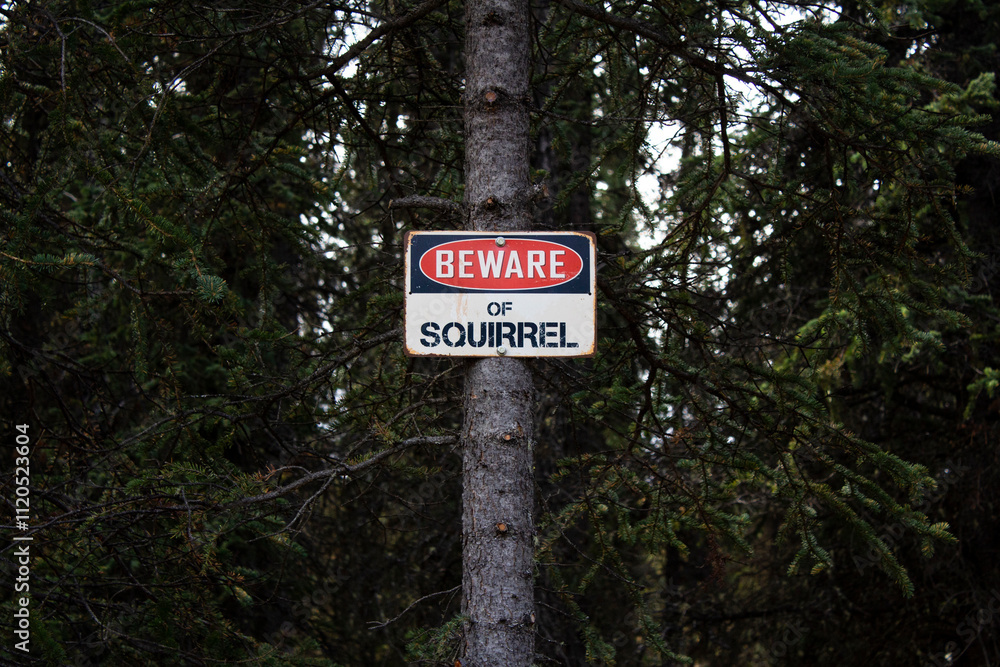 Sign that reads 'Beware of Squirrel' in the Wilderness Sign that reads 'Beware of Squirrel' in the Wilderness