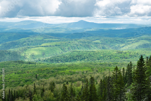 heavy summer rain and fog in the taiga