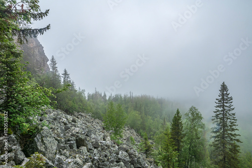 heavy summer rain and fog in the taiga