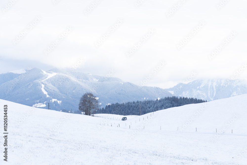 Obraz premium Winterlandschaft in Oberbayern, Ammergauer Alpen Hörndle, mit Wald, Berg