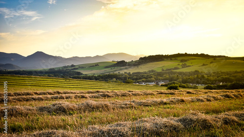 Fototapeta Naklejka Na Ścianę i Meble -  Sunny meadowy mountains in Europe