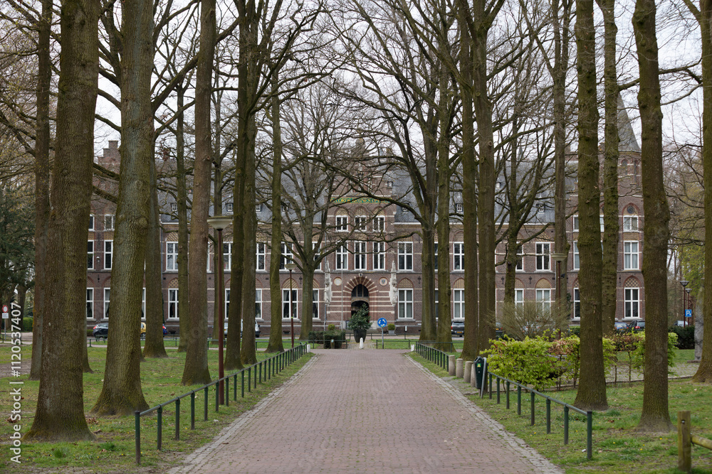 Obraz premium Parkway lined with trees leads to a large brick building. A paved walkway runs through the park.