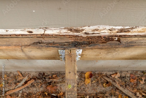 Deck Ledger Board Incorrectly Installed over Wood Siding has led to Extensive Dry Rot and Damage