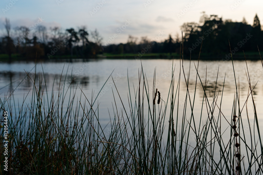 Exploring the serene beauty of Bois de Vincennes with calm waters and lush grass under the afternoon sun in Paris Exploring the serene beauty of Bois de Vincennes with calm waters and lush grass under the afternoon sun in Paris