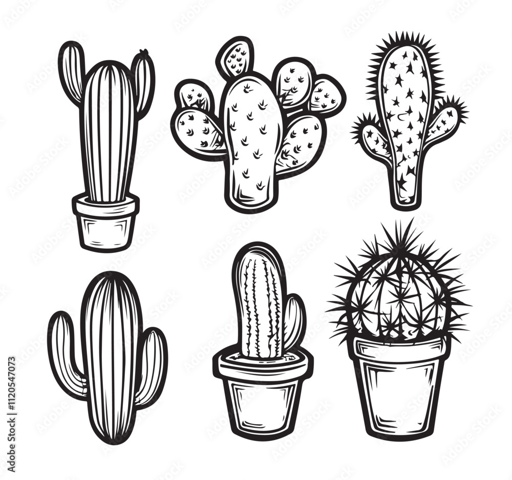 Cactus set illustration vector Cactus set illustration vector