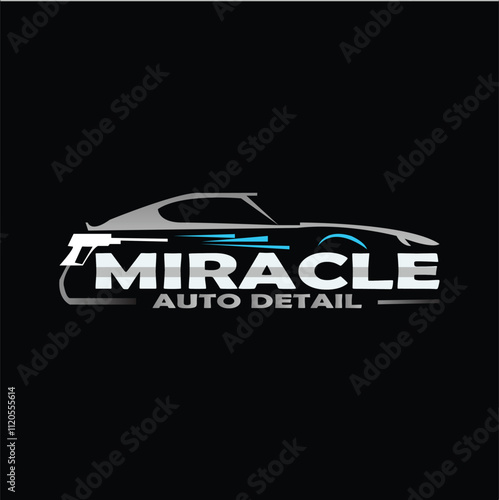 Car Detailing Logo Design for Company.