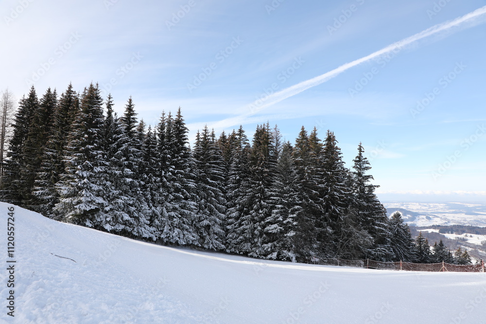Fototapeta premium Snow landscape located in Switzerland