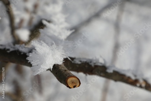 Snow landscape located in Pléiades, near Vevey, Switzerland photo