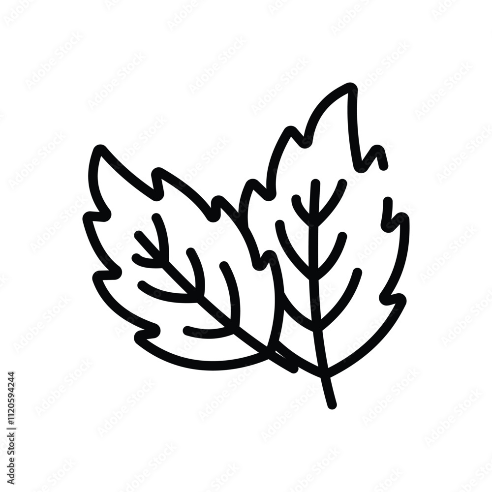 Obraz premium Mint vector icon