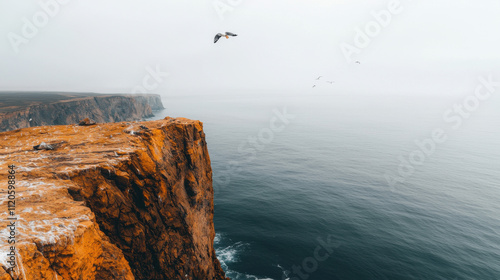 Genius loci, A misty coastal scene featuring a rugged cliff edge with birds soaring above a vast, calm ocean. photo