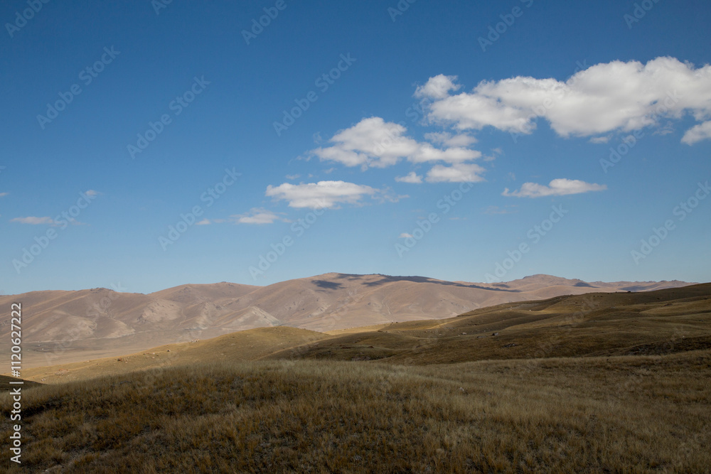 Vast Grassland with Rolling Hills and Blue Sky Vast Grassland with Rolling Hills and Blue Sky
