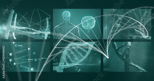 DNA strand and neural network over medical image of human brain and body